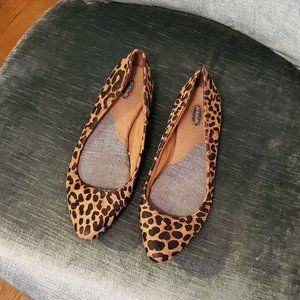 Cheetah Flats - Dr Scholls Insoles - Size 7M